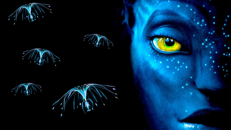 图片[6]-阿凡达 (2009)11111111111111111-夸克网盘论坛-网盘圈